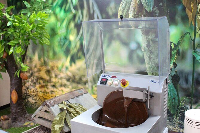 Private Tour in Puerto Plata and La Playa - Chocolate and Local Crafts: Del Oro Factory