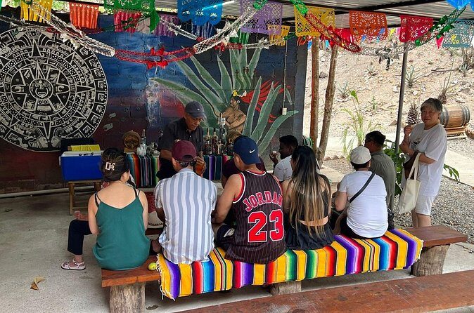 Private Tour in Puerto Vallarta - Analyzing the Value