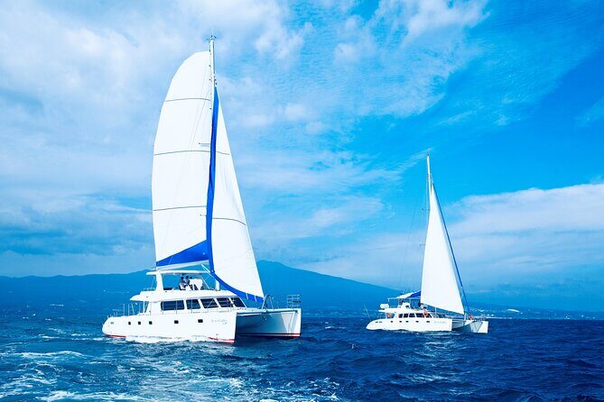Private Tour in South Jeju including Yacht Cruise - Key Points