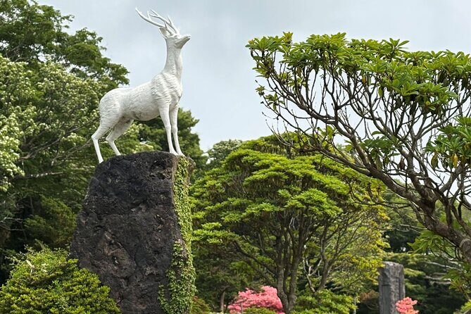 Private Tour in South Jeju including Yacht Cruise - FAQ