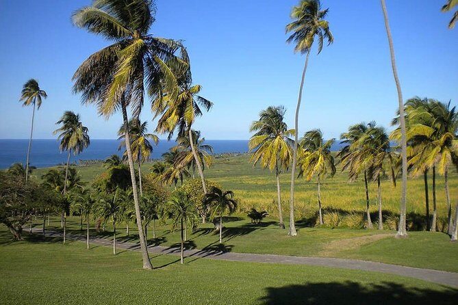 Private Tour in St. Kitts - Exploring the Highlights of St. Kitts with a Private Guide