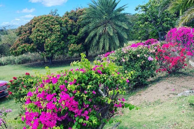 Private Tour in St. Kitts - FAQ