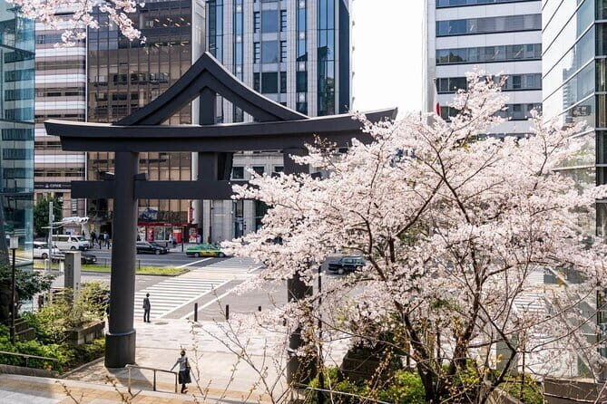 Private Tour in Tokyo with Local Guide - Key Points
