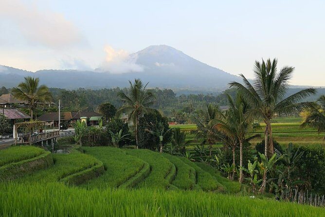 Private Tour: Jatiluwih Rice Terraces - Ulun Danu Temple - Bayumala Waterfalls - FAQ