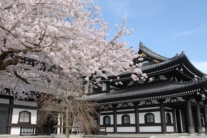 Private Tour Kamakura Yokohama Day Trip English speaking driver - An In-Depth Look at the Experience