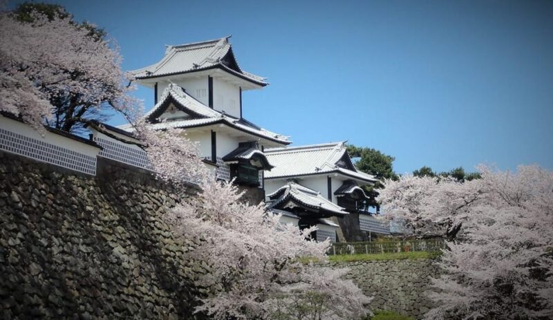 Private Tour Kanazawa: Gold Leaf, Sushi & afternoon activity - Lunch: Make Your Own Hosomaki Sushi