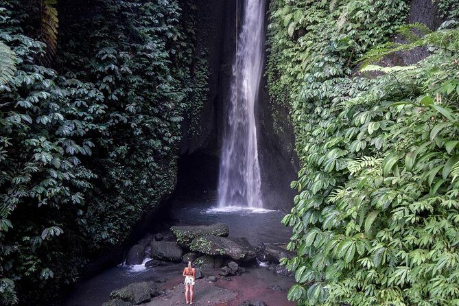Private Tour: Leke-Leke Waterfall, Handara gate & Iconic Temples - Who Is This Tour Best For?