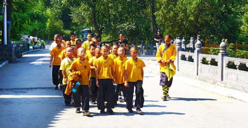 Private Tour: Longmen Grottoes, Shaolin Temple & Kungfu Show - A Deep Dive into the Experience