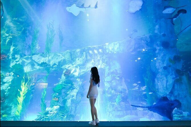 Private tour Lotte World,Tower,Aquarium(All Tickets are included) - FAQs