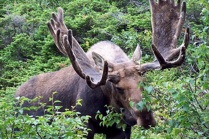 Private Tour: Majestic Mountains PHOTO SAFARI Drive - 4H - Frequently Asked Questions