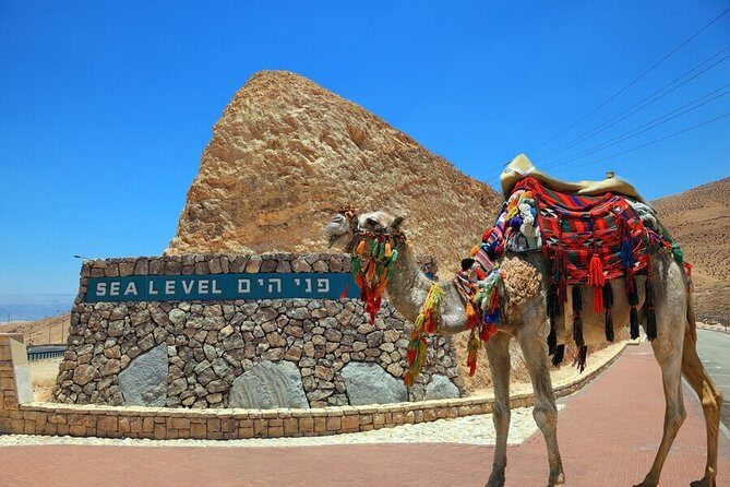 Private Tour: Masada and Dead Sea Day Trip from Jerusalem - The Itinerary in Detail