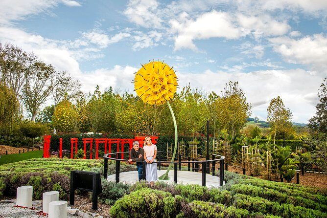 Private tour - Matakana Art & Wine Village - Key Points