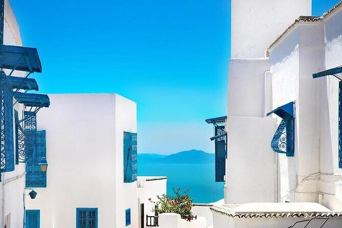 Private tour: Medina,Carthage ,Sidi Bou Said, Bardo Museum+lunch - Key Points