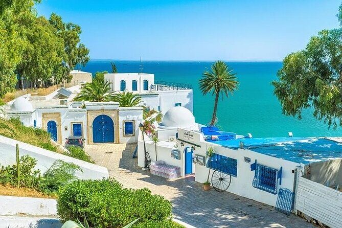 Private tour: Medina,Carthage ,Sidi Bou Said, Bardo Museum+lunch - Setting the Scene: Why This Tour Appeals