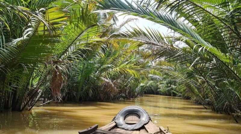 Private Tour Mekong Delta Cai Rang Floating Market - Analyzing the Value