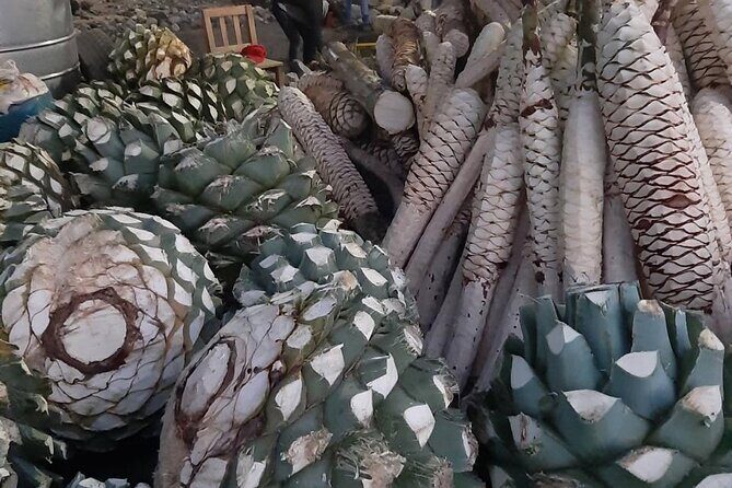Private tour Mitla, Weavers town, Mezcal and Boil the water - Who Would Love This Tour?