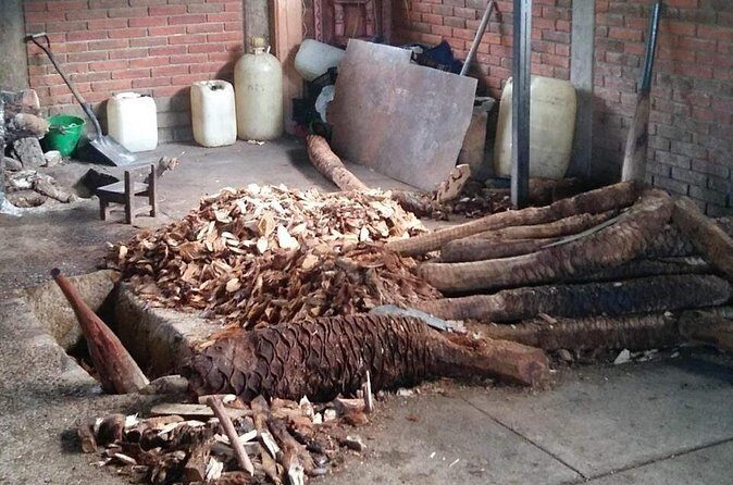 Private tour Mitla, Weavers town, Mezcal and Boil the water - FAQ