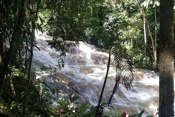 Private Tour Montego Bay To Blue Hole and Dunns River falls - Transportation and Price: Worth the Investment?