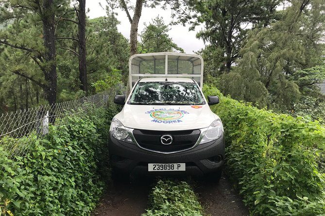 Private Tour Moorea 4WD - Belvedere Pineapple Farm, Magic Mount. - The Sum Up