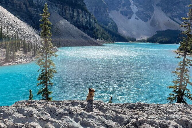 Private Tour Moraine Lake, Louise, Emerald & Johnston Canyon - Authentic Insights from Reviews