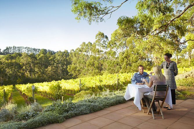 [PRIVATE TOUR] Mornington Peninsula Hot Springs | Winery & Sightseeing Tour - Practical Tips for Future Travelers