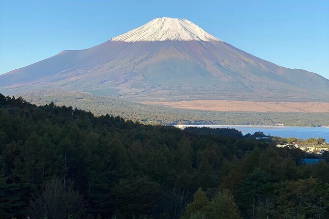 Private Tour Mt. Fuji Hakone Yokohama - Analyzing the Value