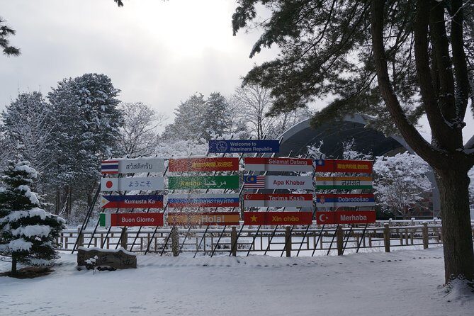Private Tour: Nami Island& (Alpaca World 'or' Morning Calm)&Lunch - What to Consider