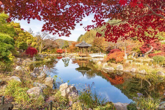 (Private tour) Nami Island + Railbike + Garden of morning calm - Key Points