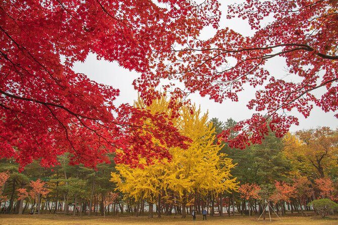 (Private tour) Nami Island + Railbike + Garden of morning calm - What to Expect from the Experience