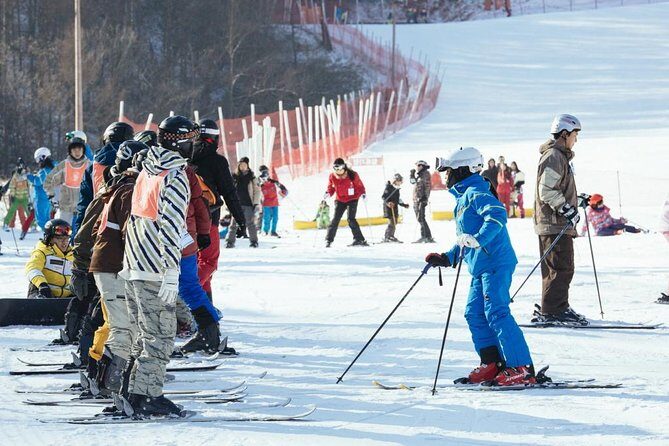 [Private Tour] Nami Island & Ski (Ski Lesson, Equip & Clothing Included) - The Logistics and Transportation