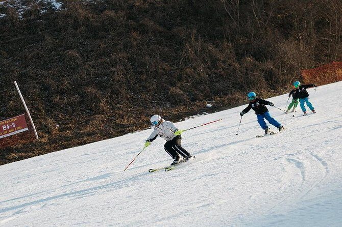 [Private Tour] Nami Island & Ski (Ski Lesson, Equip & Clothing Included) - The Lunch Break: Authentic Korean Cuisine