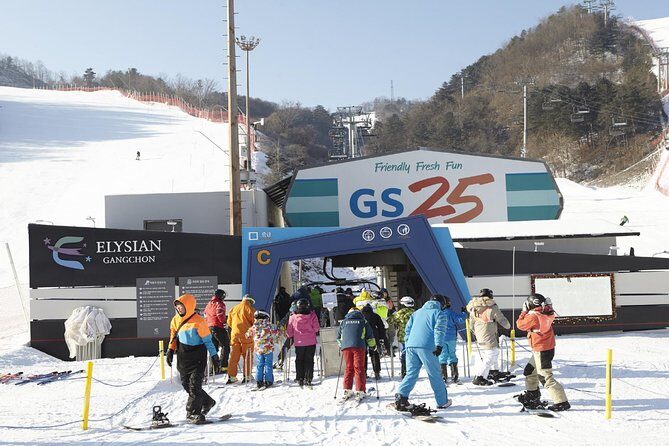 [Private Tour] Nami Island & Ski (Ski Lesson, Equip & Clothing Included) - The Ski Experience: Fun and Learning