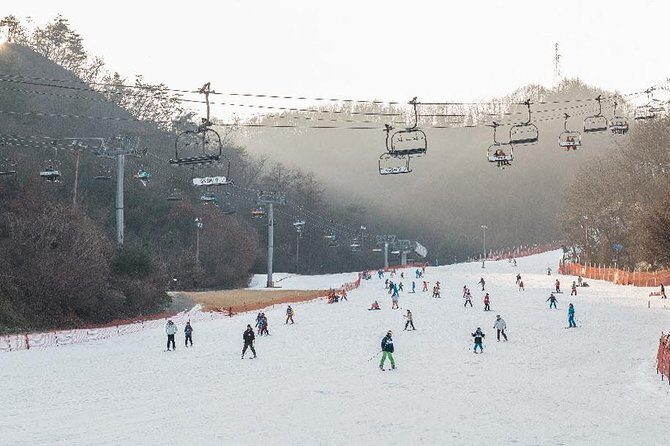 [Private Tour] Nami Island & Ski (Ski Lesson, Equip & Clothing Included) - The Value of a Private Tour
