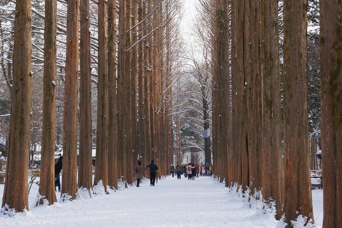 [Private Tour] Nami Island & Ski (Ski Lesson, Equip & Clothing Included) - Pricing and Overall Value