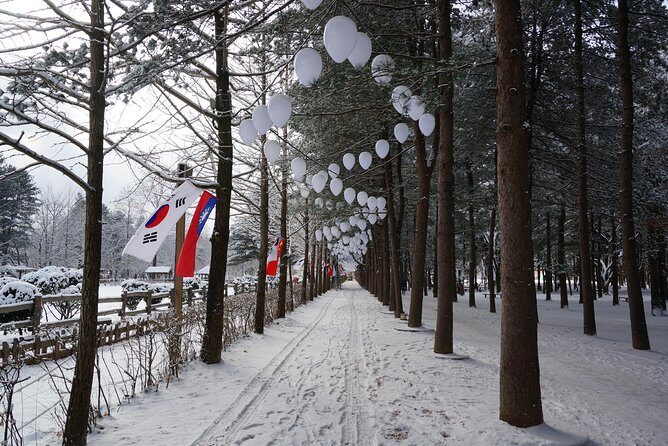 [Private Tour] Nami Island & Ski (Ski Lesson, Equip & Clothing Included) - Who Will Love This Tour?