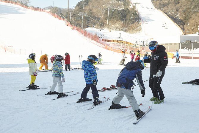 [Private Tour] Nami Island & Ski (Ski Lesson, Equip & Clothing Included) - Considerations