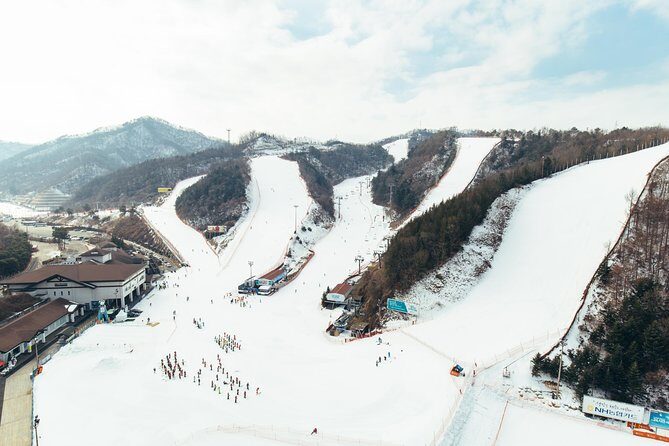 [Private Tour] Nami Island & Snow Viewing and Snow sled (More Members Less Cost) - Who Should Consider This Tour