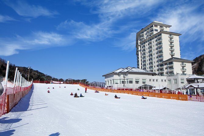 [Private Tour] Nami Island & Snow Viewing and Snow sled (More Members Less Cost) - The Sum Up