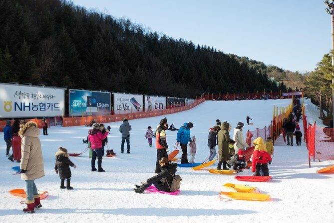 [Private Tour] Nami Island & Snow Viewing and Snow sled (More Members Less Cost) - FAQ