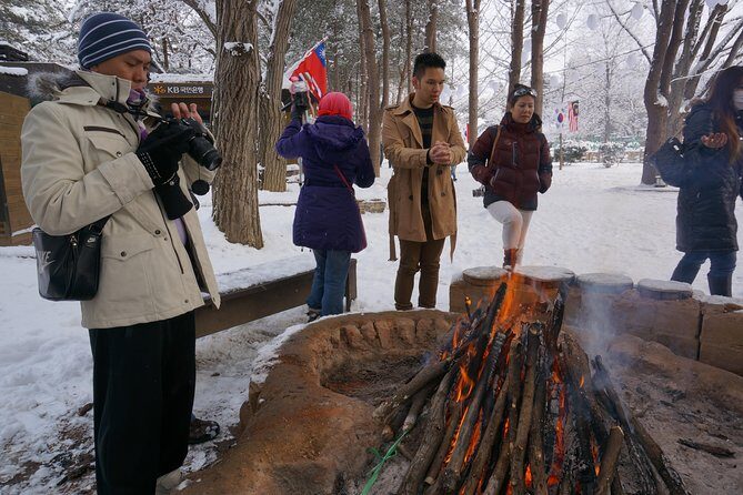 Private Tour Nami Island with Petite France 'and/or' The Garden of Morning Calm - Making the Most of Your Day