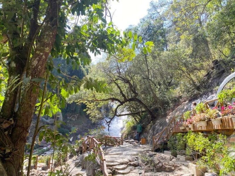 Private tour Nha Trang-Dalat excursion (start at Nha Trang) - Authenticity and Insights from Reviews