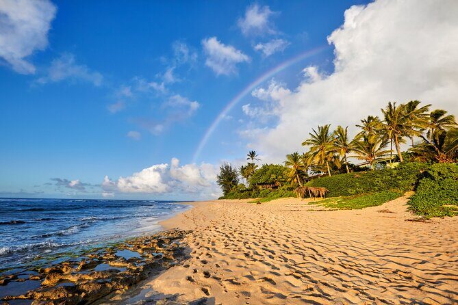 Private Tour Oahu from Honolulu - Conclusions