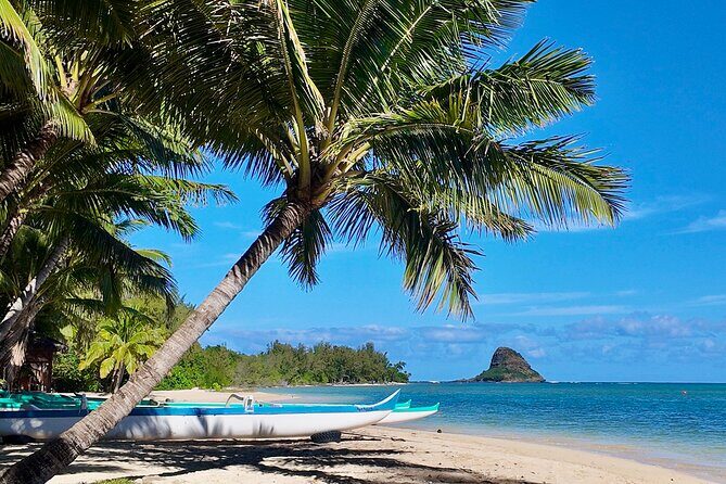 Private Tour Oahu-Full or Half Day-Customizable-Circle Island - What the Tour Includes and How It Works