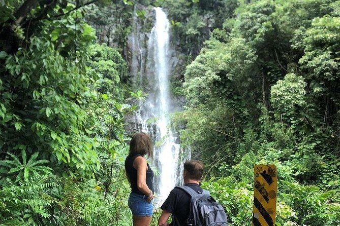 Private Tour : OAHU, MAUI, KAUAI or BIG ISLAND : Pick any Island - Exploring the Options and Itinerary