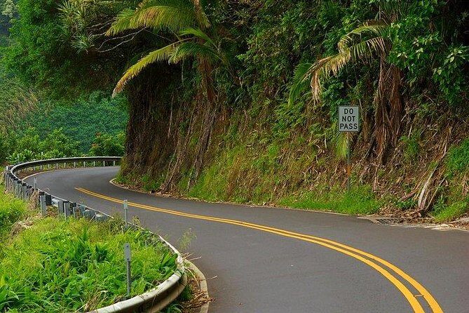 Private Tour : OAHU, MAUI, KAUAI or BIG ISLAND : Pick any Island - Who Would Love This Tour?