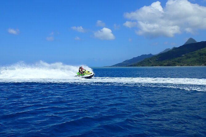 Private tour observing and swimming with humpback whales in Moorea - Who Would Love This Tour?