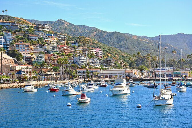 Private Tour of Avalon from Catalina Island - Key Points