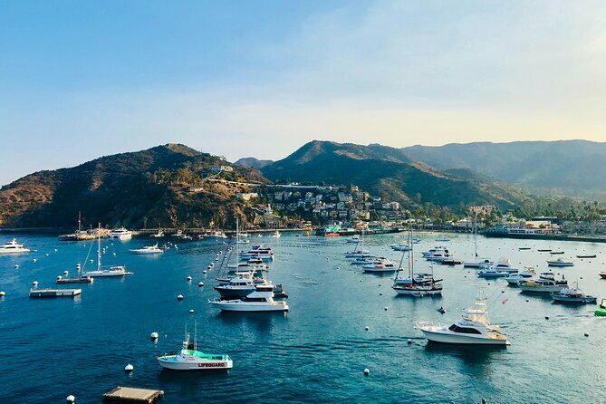 Private Tour of Avalon from Catalina Island - In-Depth Look at the Tour Components