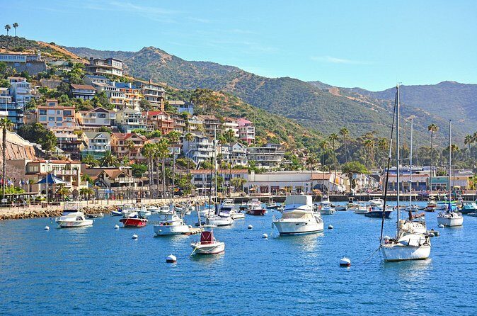 Private Tour of Avalon from Catalina Island - Who This Tour Is Best For