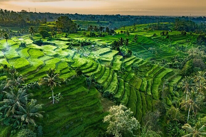 Private Tour of Balis Temples, Rice Terraces & Villages - Introduction